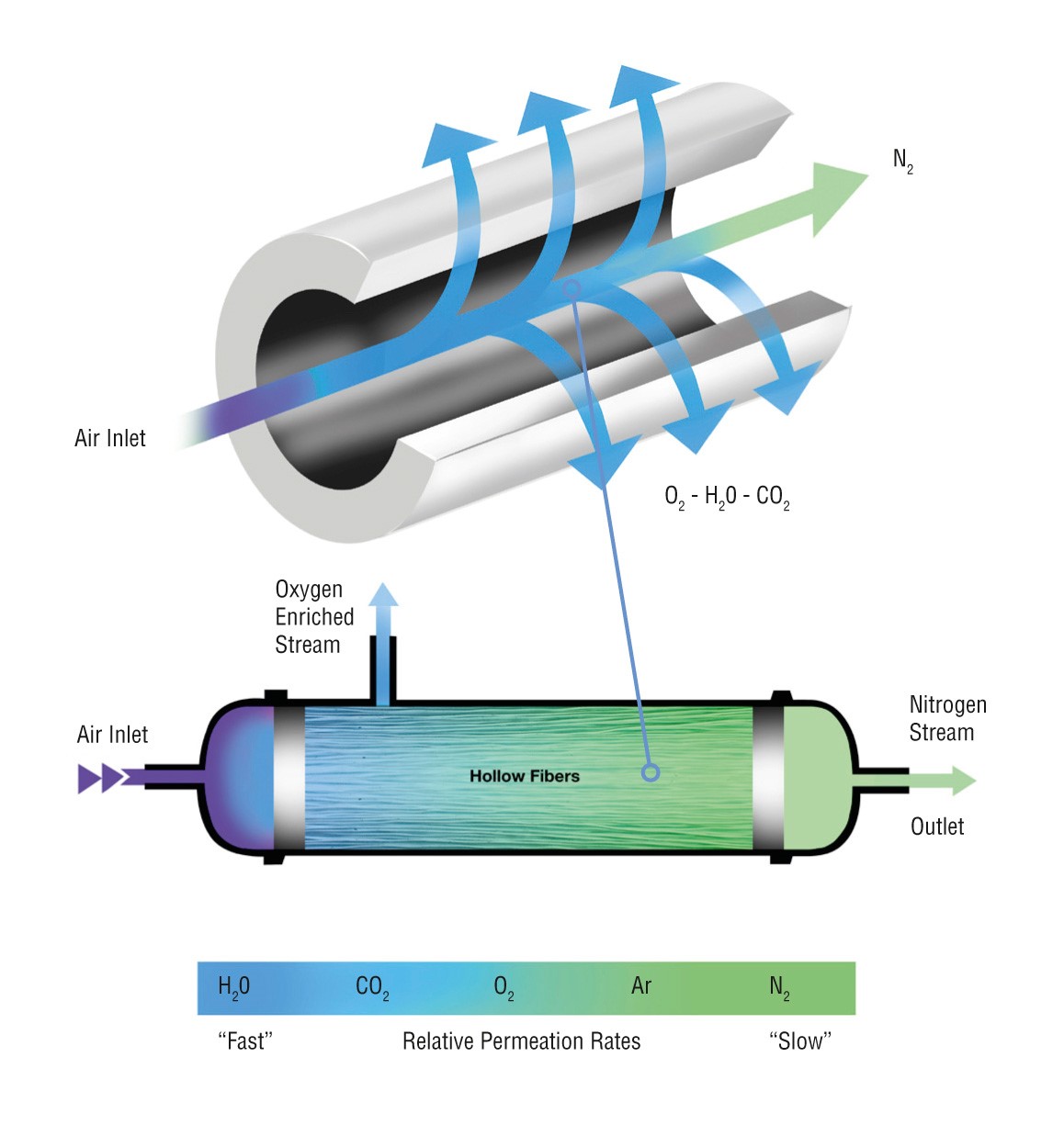 Membrane Permeation - Anox